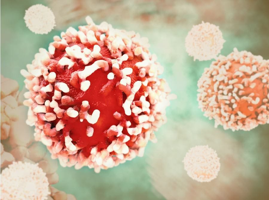 Cancer Deaths Among Men Projected to Increase 93% Globally by 2050, According to New Data / Image credit: ©crevis/AdobeStock