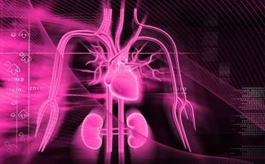 Combined SGLT2i and GLP-1 RA Therapy Provides Complementary Cardiorenal Protection / Image credit: ©krishnacreations/AdobeStock