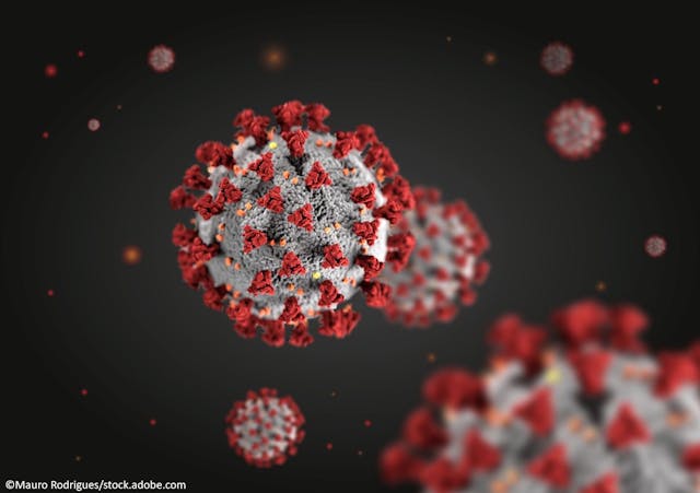 Severity of SARS-CoV-2 Reinfection Similar to That of Initial Infection, According to New Findings / Image credit: ©Mauro Rodrigues/AdobeStock